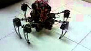 Sphere Morphing hexapod project TEST. (Poor quality video)