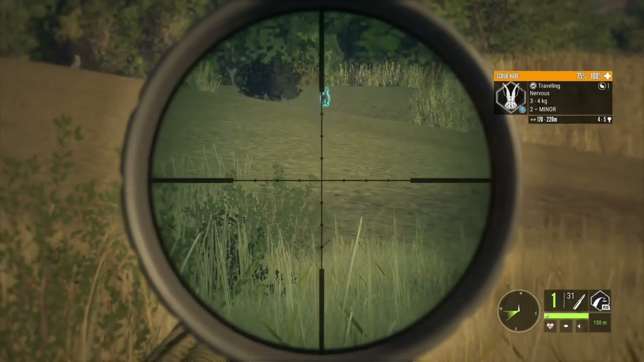 Diamond blue wildbeast#hcotw 