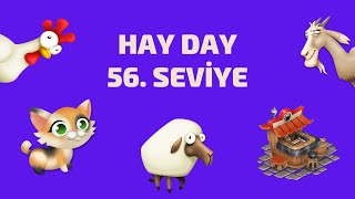 Hay Day 56. Seviyeye Geçtim