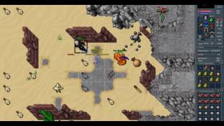 Janusz pk on Tibijka.net with Punio, Shadow and randoms