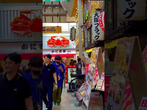 Cover #japan #travel #osaka #dotonbori