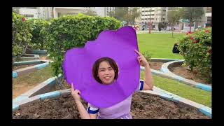 Pippin purple the adventure our own version.. 