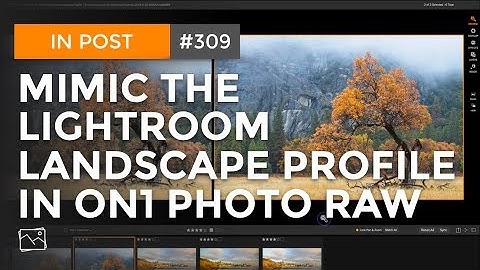 In Post: Mimic The Lightroom Landscape Camera Profile In ON1 Photo RAW #309