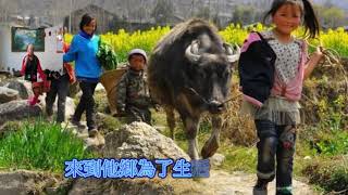 客家歌曲   出外人介心聲