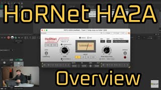HoRNet HA2A vintage opto compressor overview