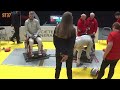 2024 Wheelchair fencing European Championships | Day 1 - Yellow 2