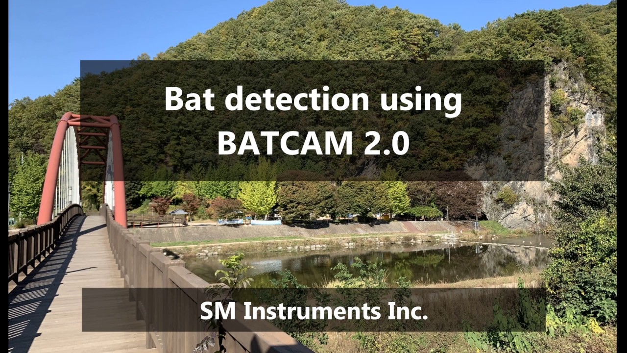 [BATCAM 2.0] BAT Noise Detection with Ultrasonic / Sound Camera - YouTube