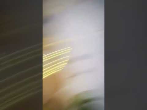 It S Reem S Special Day Because Reem Birthday Girl Love Reemshaikh Jannatzubair Niasharma 