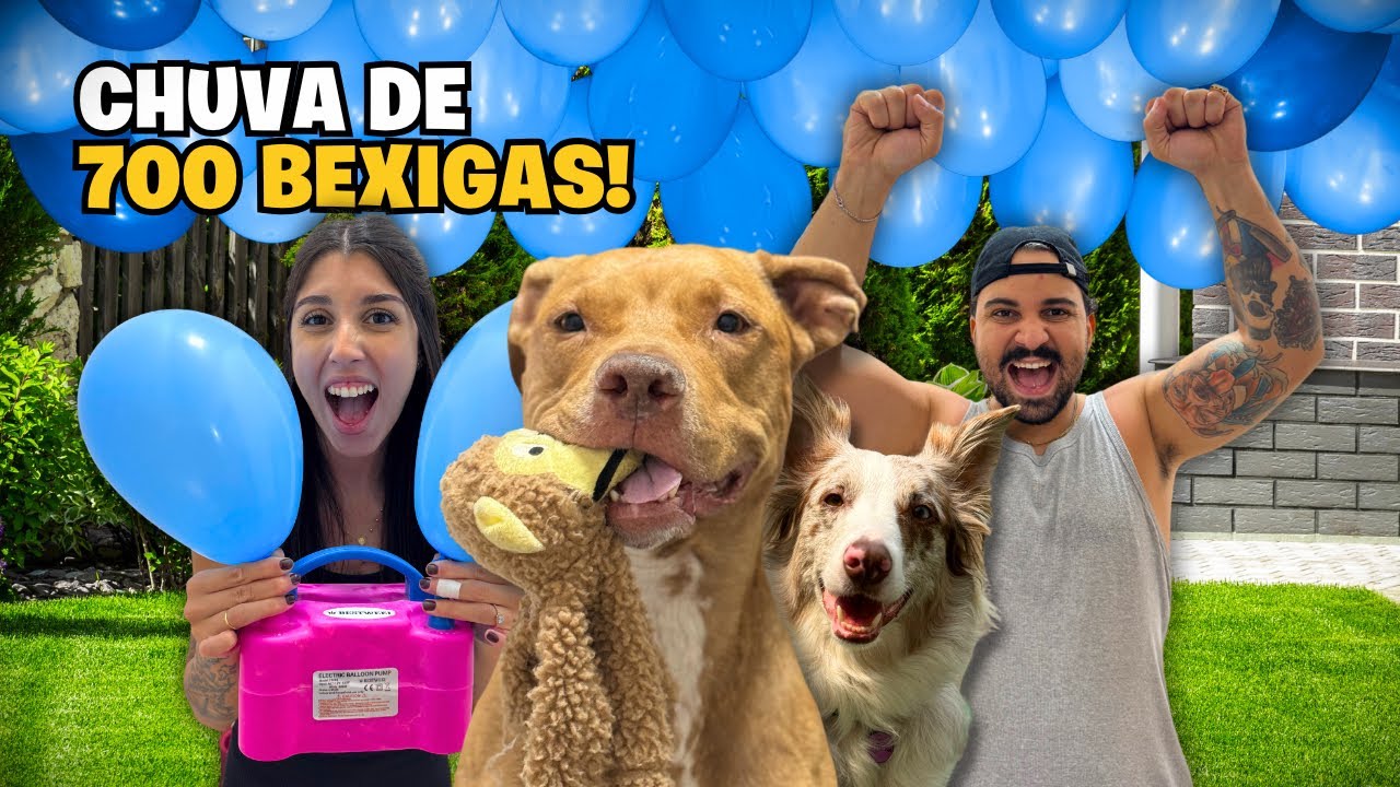 Alcançamos 700 Mil Seguidores no Instagram: Vamos Comemorar!