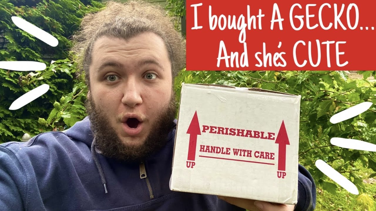 CRESTED GECKO UNBOXING!! (DON’T miss Dori)