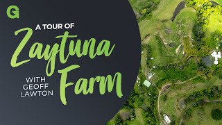 Theory in Practice: A Tour of Zaytuna Farm