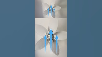 Which way should you switch your ceiling fan in the summer?
