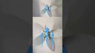 Which Way Should You Switch Your Ceiling Fan In The Summer?