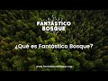 Trailer Fantástico Bosque