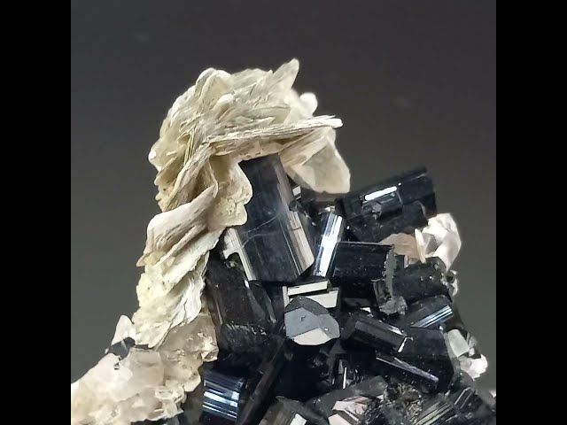 GFS0204 SCHORL, MUSCOVITE, QUARTZ - PAKISTAN