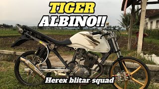 REVIEW DAN KNALPOT HELIKOPTER BY BSS ORIGINAL MUFFLER DI TIGER ALBINO !!!!