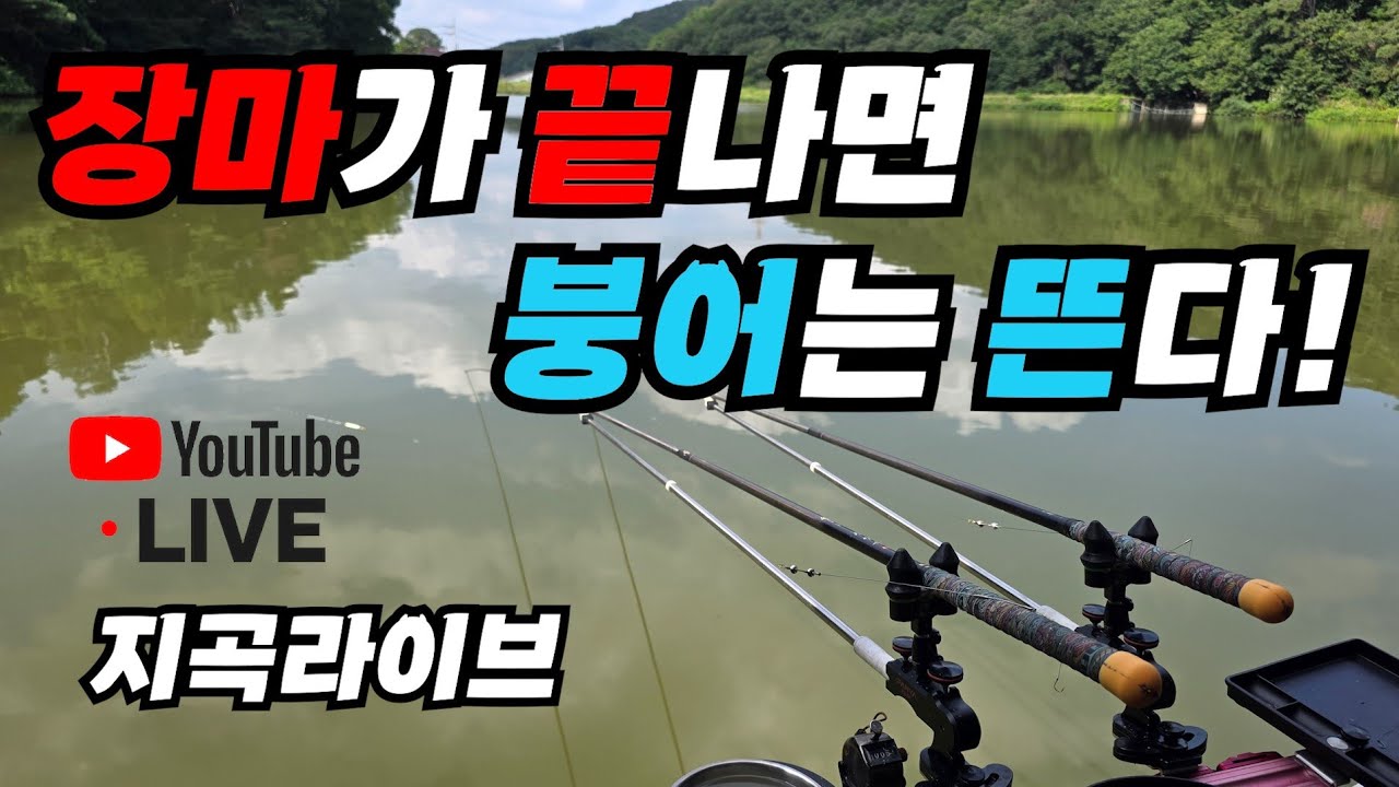 장마끝 붕어 보내드릴라고 했는데, 느나가 걸렸네요?