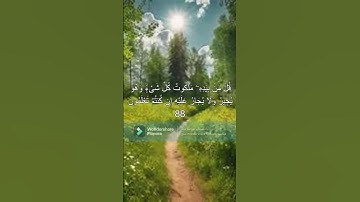 سورة المؤمنون #ياسر_الدوسري #قرآن_كريم #المصحف #راحة_نفسية #هدوء