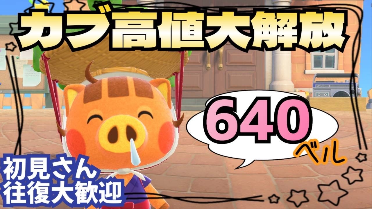 【あつ森実況】カブ価最大640ベル！！！参加型！【初見さん歓迎！】