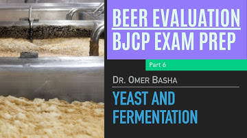 BJCP Beer Exam Prep Course - 6 - Yeast and Fermentation