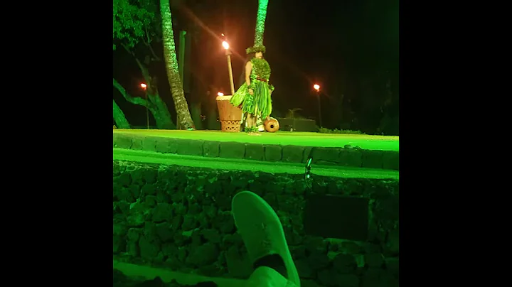 Hawaii Luau Dancing(2)