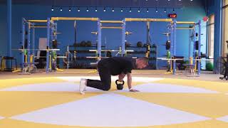 CAE Quadruped KB Drag