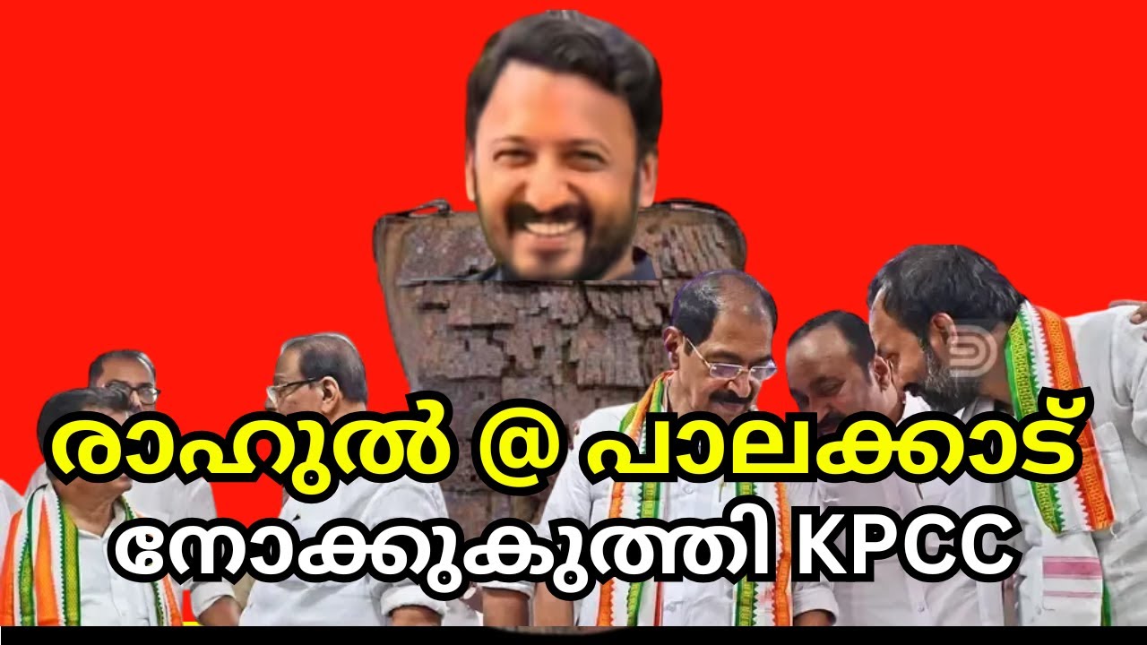 രാഹുൽ @ പാലക്കാട് നോക്കുകുത്തി KPCC സ്വീകരിക്കാൻ കോൺഗ്രസ്സ് നേതാക്കൾ