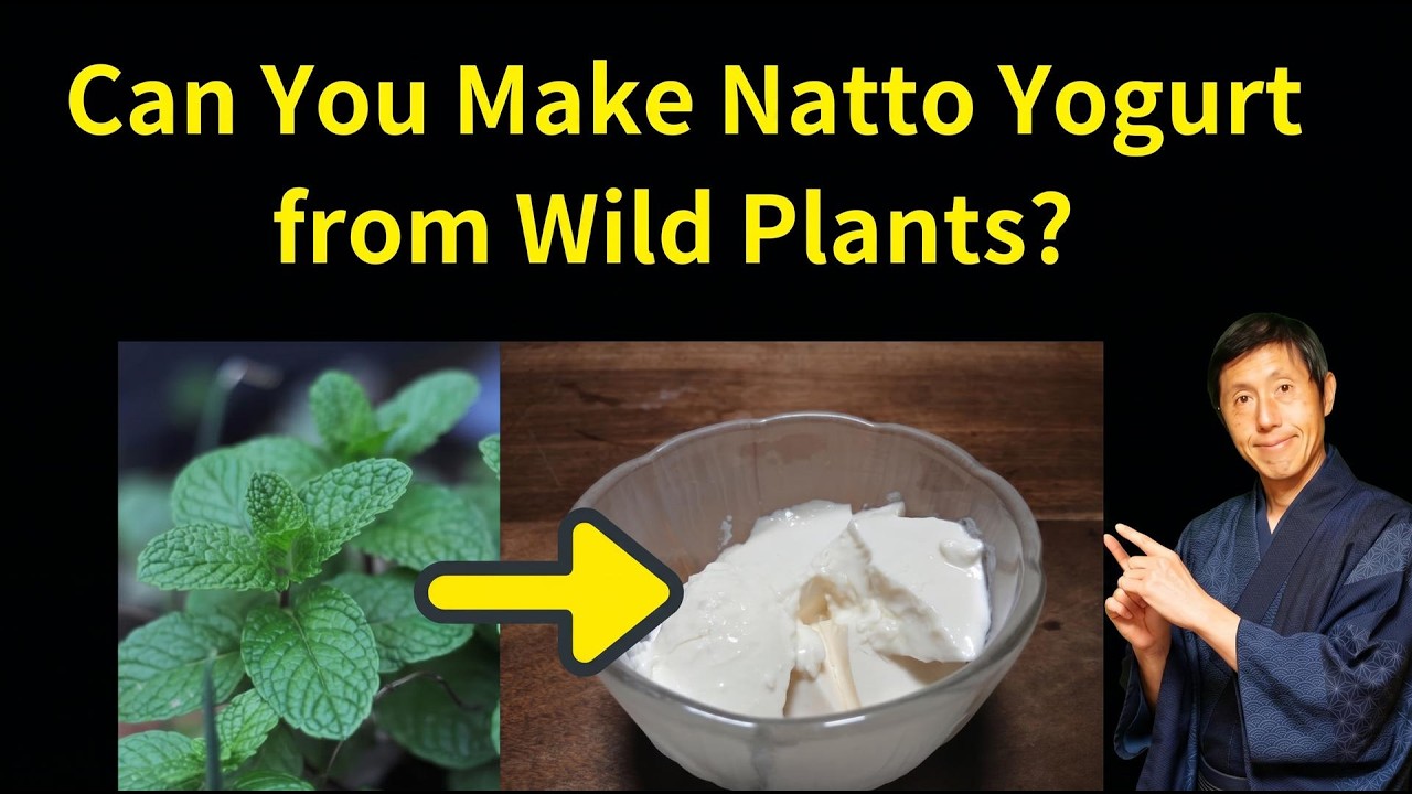 Can You Make Probiotic Yogurt from Wild Plants without the Natto Beans?