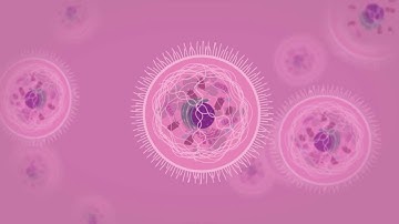 Computer-Simulation of Biological Systems
