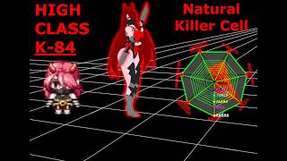 16-07-2026 K-84 TEST COMBAT