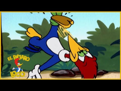 El Pajaro Loco