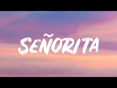 Shawn Mendes & Camilla Cabello - Señorita (Lyrics)