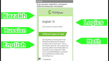 NISQuiz [Demo video]
