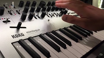 Korg Minilogue Latch Mode Arpeggio