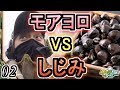 【サバゲー】強敵と対戦!モアヨロVSしじみ!【モアヨロサバゲー短編 #02】in TRENCH