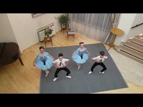 საქართველოში იაპონიის სრულუფლებიანი ელჩის რეზიდენცია 3 მარტი 2019