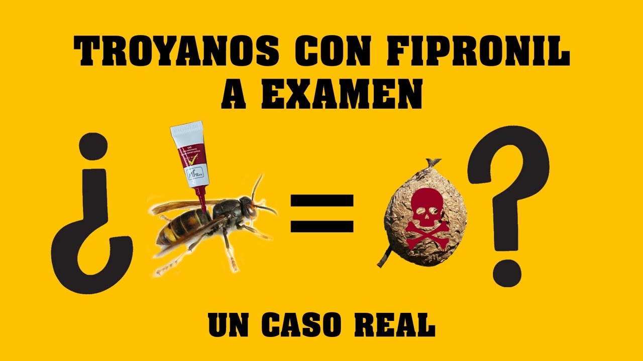 Troyanos con Fipronil para la vespa velutina a examen. Un caso real.