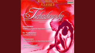 Suite No. 4 in G Major, Op. 61, "Mozartiana": III. Preghiera