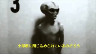 宇宙人「グレイ」の貴重な衝撃映像！ ！