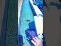 Phone Underwater Challenge 😱#Underwater #MobileChallenge #PhoneTest #YouTubeShorts #ShortsVideo