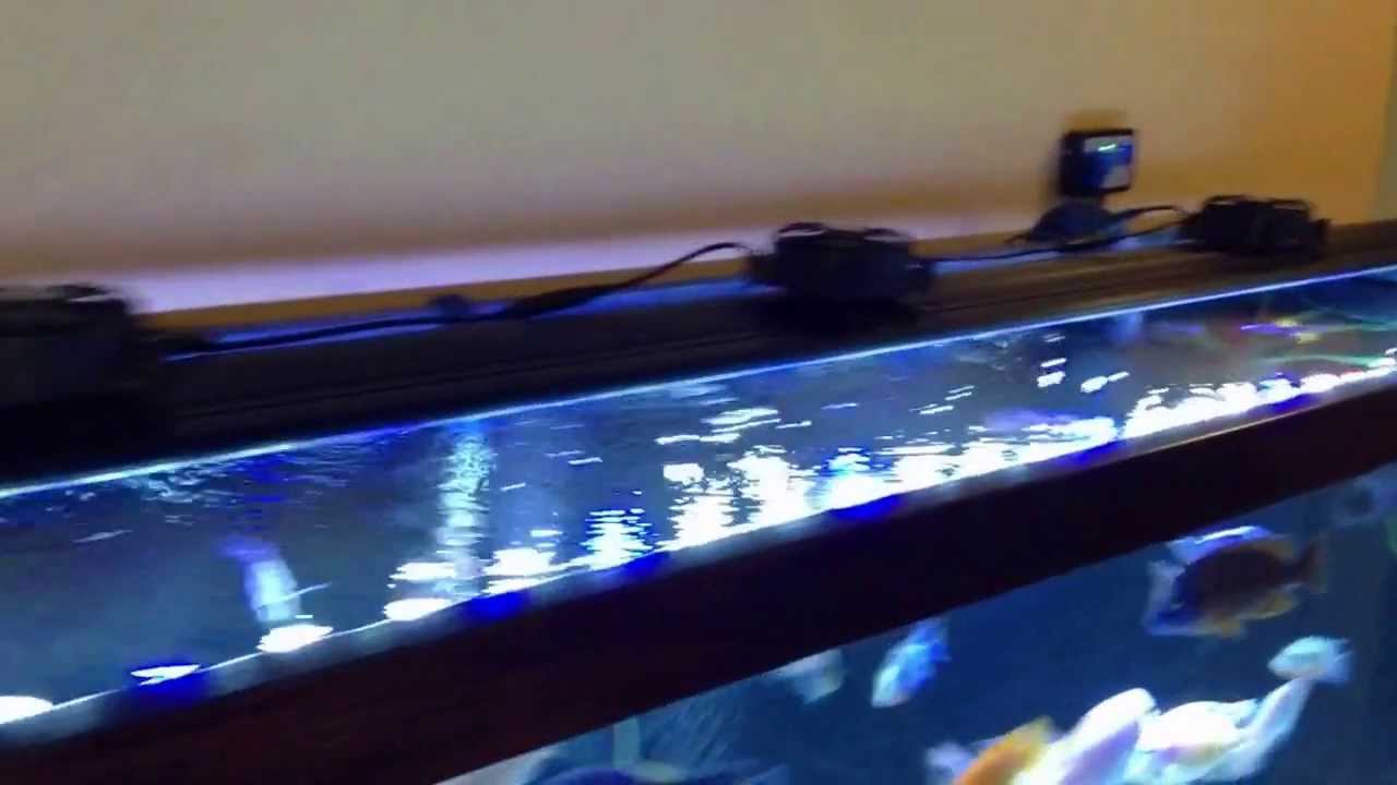 72 inch led aquarium light