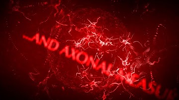 Femtonics - Neuronal Networks Segmentation Animation