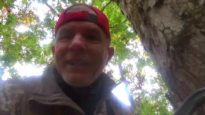 Georgia Recurve Buck