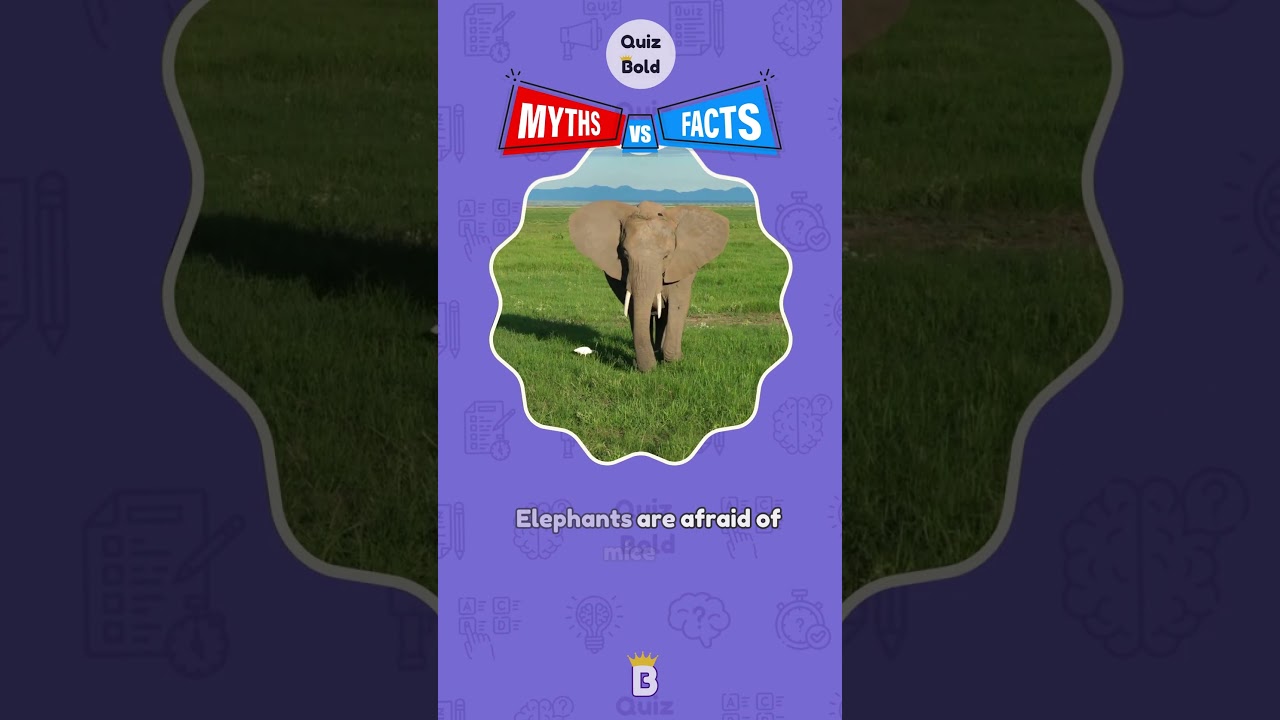 Myth vs Fact Animal Edition 3 by Quiz Bold