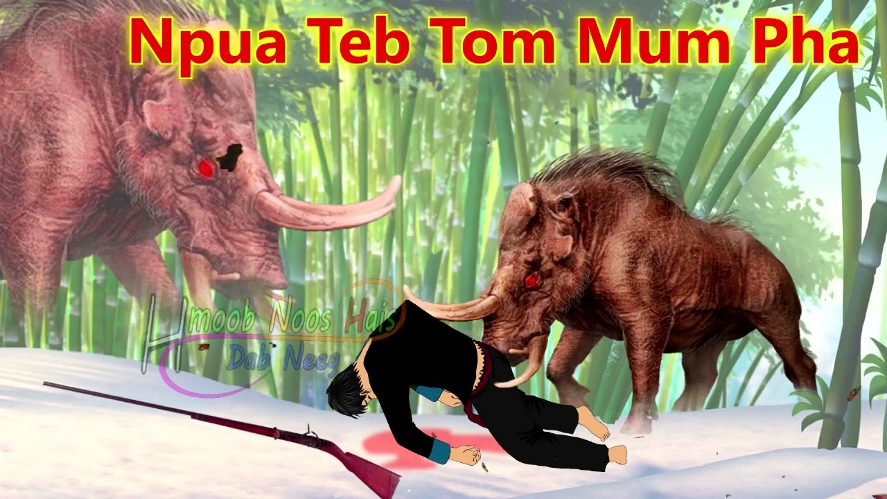 Npua Teb Tom Mum Pham Zam Foom 【13/12/2023】