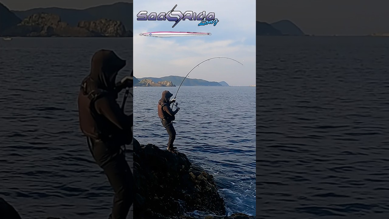 シーライドロングでブリ捕獲【ショアジギング】#shorts #ショアジギング #釣り #ブリ#ロックショア