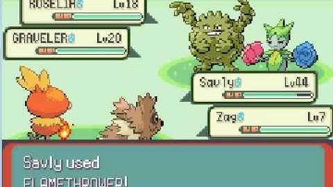 torchic only run stoping team aqua