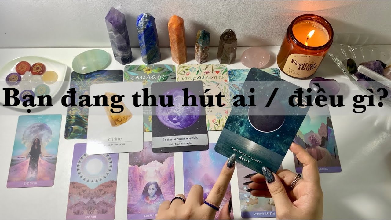 Bạn đang thu hút ai / điều gì vào cuộc sống của mình? (Timeless) 💖🍀✨