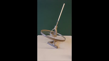 Large Gyroscope Demonstration
