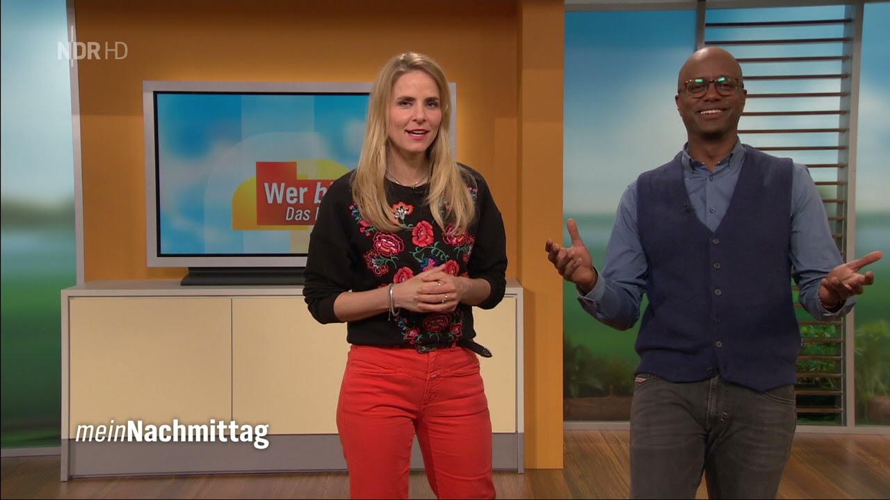 NDR FS SH HD   Mein Nachmittag